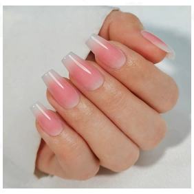 Rose dégradé — modèle GX-140