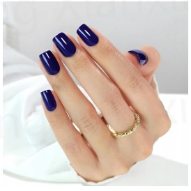 Bleu profond — modèle GX-172