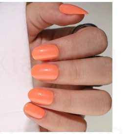 Corail — modèle GX-196