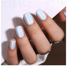 Bleu pastel — modèle GX-200
