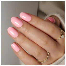 Rose bonbon — modèle GX-209