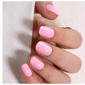 Rose bonbon court — modèle GX-218