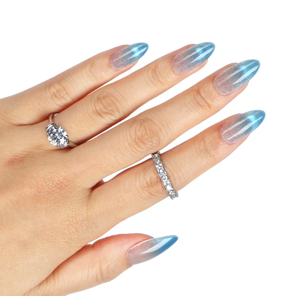 Bleu et argent — modèle GL-101