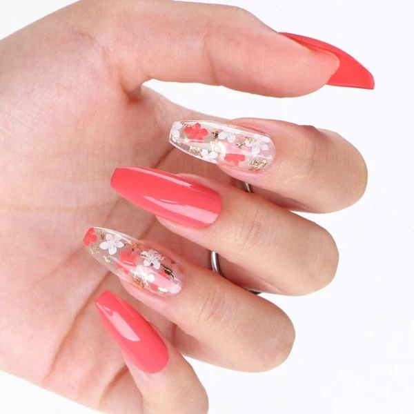 Corail fleuri — modèle GL-168